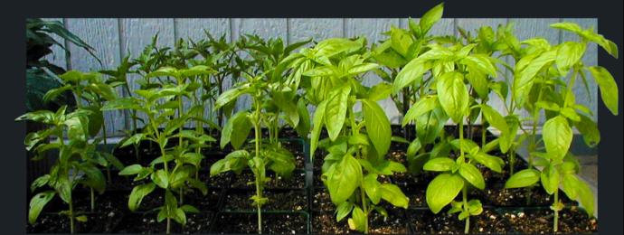 Photo de comparaison avec et sans TCO